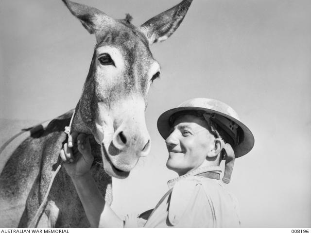 The Pte. D.W. Jones with a donkey