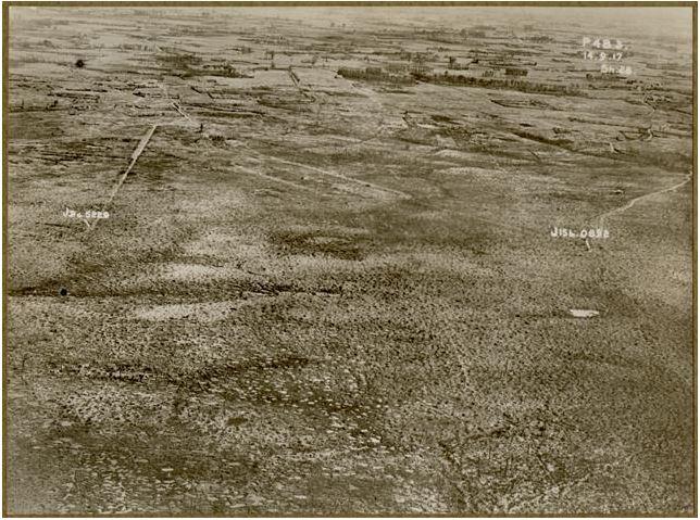 An oblique angle aerial photo of Polygon Wood 
