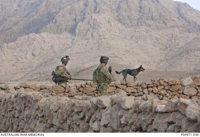 Members of MT-D, and their explosive detection dog, clearing the area of IEDs