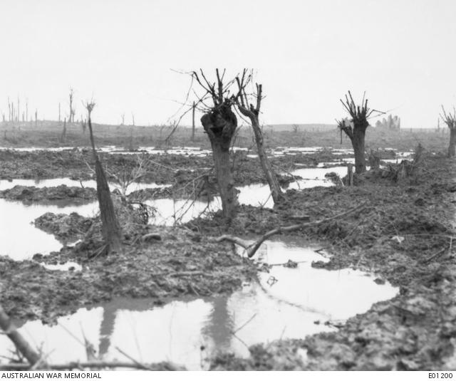 Swamps around Zonnebeke