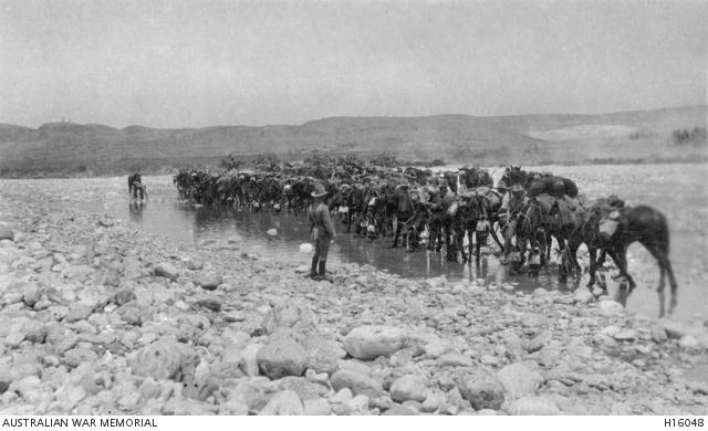 Light Horsemen watering their horses