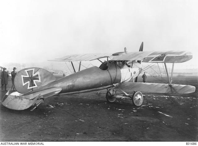 Albatros