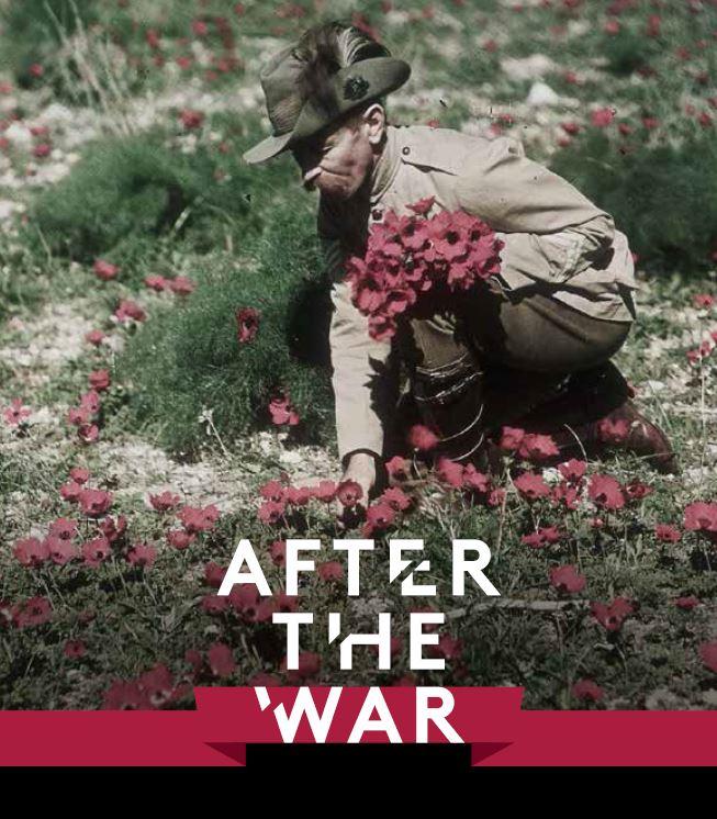 An Australian light horseman collects anemones near Belah in Palestine, c. 1918. Frank Hurley, P03631.046