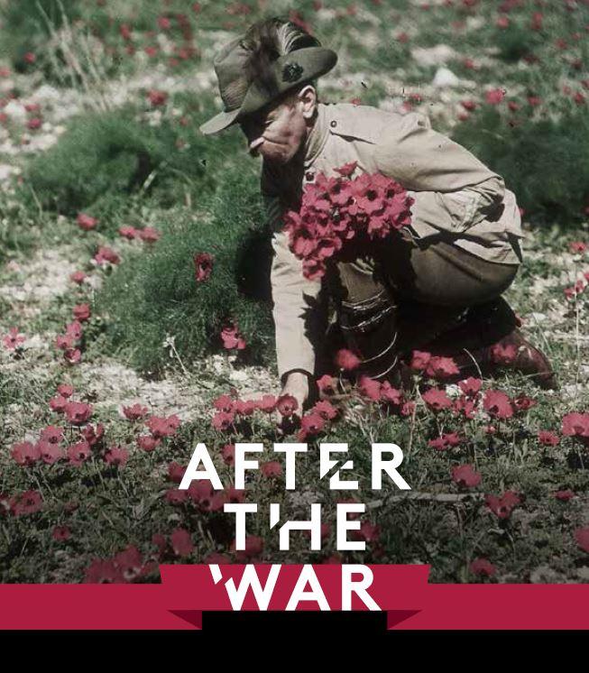  An Australian light horseman collects anemones near Belah in Palestine, c. 1918. Frank Hurley, P03631.046