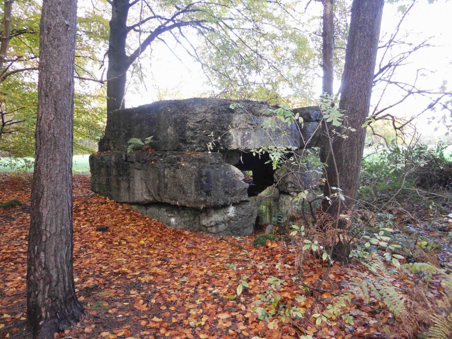 Fusiliers Dugout, Zillebeke. Photo by Conrad Dumoulin