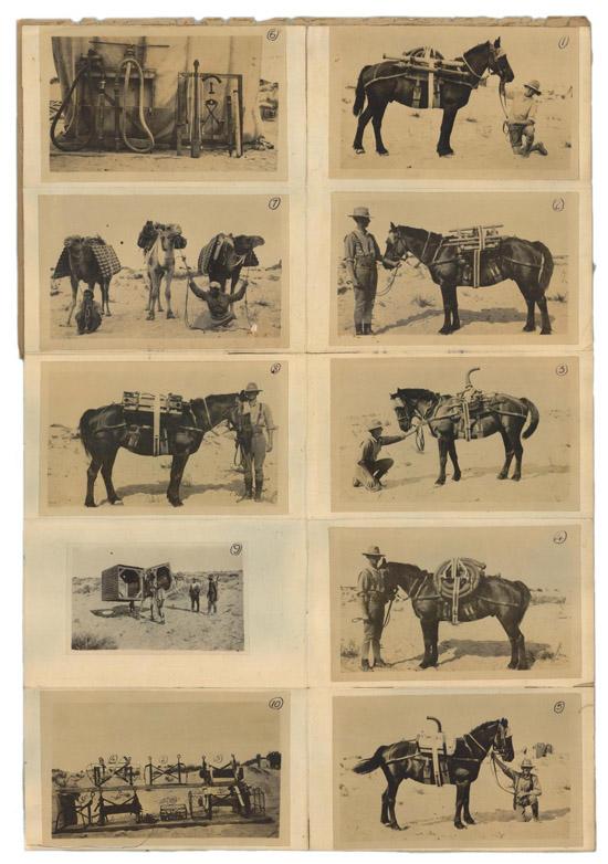Photographs of water supply materials carried by horses for the Anzac Mounted Division. AWM4 14/36/6