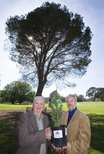 Mr Ray Hasler accepts a Lone Pine seedling from senior historian Peter Burness on the 75th anniversary of the tree planting