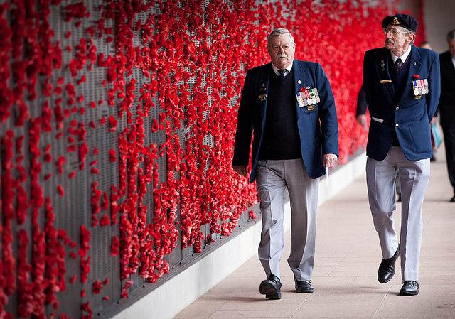 Red Poppies Australian War Memorial Red Poppies Australian War Memorial