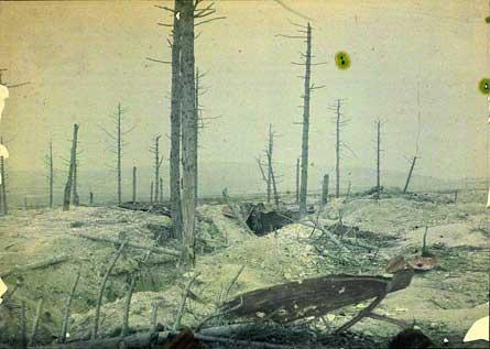 Devastated landscape at the French lines