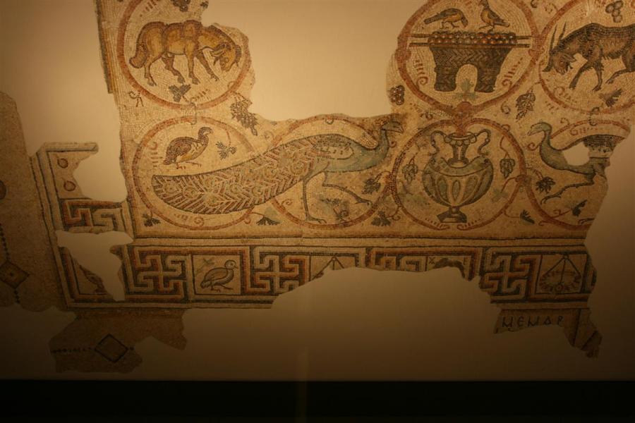 A close up shot of the Shellal Mosaic showing a border edge, peacock, goat and geometric designs