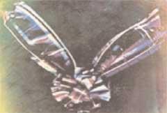 James Clerk Maxwell’s projection of a Tartan ribbon